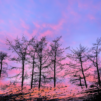 633397 - I Will Protect You скачать mp3