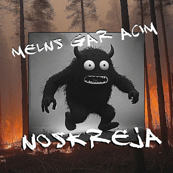 Adi Boomin - Šamanis скачать mp3