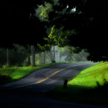 Alex G - Treehouse скачать mp3