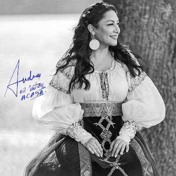 Andra - Mă Întorc Acasă скачать mp3