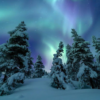 Ashreveal & Ashish Swargiary - Manasha (Over Slowed) скачать mp3