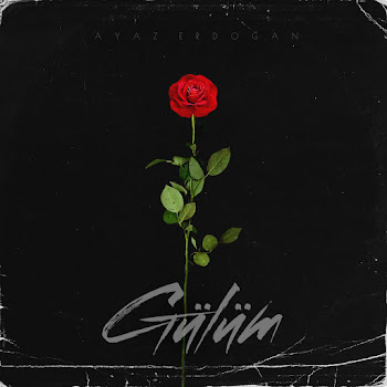 Ayaz Erdoğan - Gülüm скачать mp3