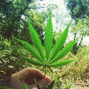 Блатной Удар - Koсяк скачать mp3