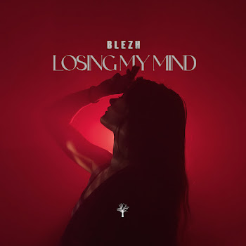 Blezh - Losing My Mind скачать mp3
