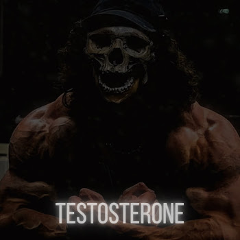 Byastral - Testosterone скачать mp3