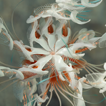 Cassian - Dun Dun скачать mp3