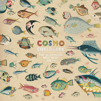 Cosmo Sheldrake - Come Along скачать mp3