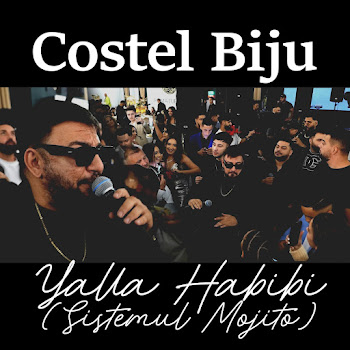 Costel Biju - Yalla Habi (Sitemul Mojito) скачать mp3