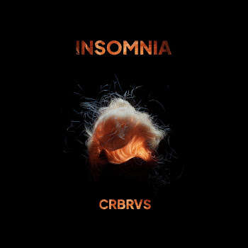 Crbrvs - Insomnia скачать mp3