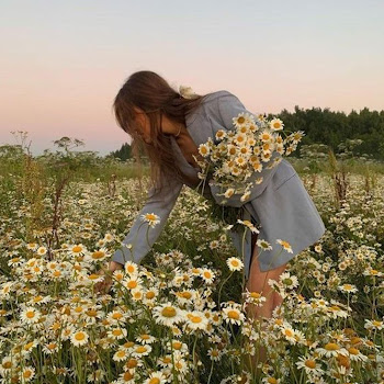 Creamy & Bluberii - Roslyn скачать mp3