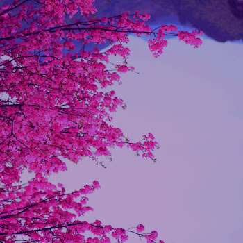 Cubox - Losing Interest ft Shiloh Dynasty скачать mp3