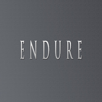 Didker - Endure (Feat. Stubeatz) скачать mp3