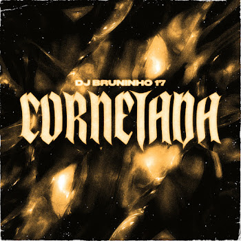 Dj Bruninho 17 - Cornetada (Slowed) ft Mc Neguinho Do Morro скачать mp3