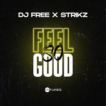 Dj Free - Feel So Good ft Strikz скачать mp3