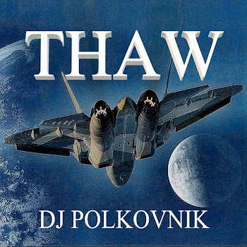 Dj Polkovnik - Thaw скачать mp3