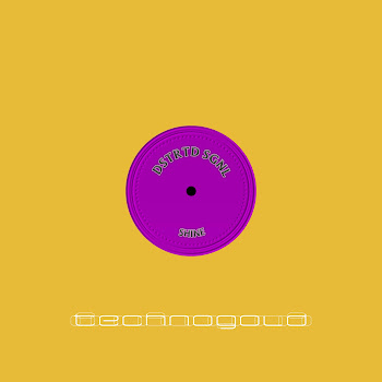 Dstrtd Sgnl - Shine скачать mp3