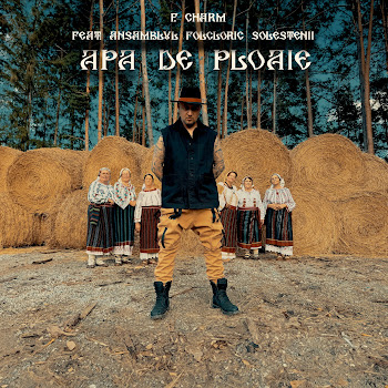 F.charm - Apa De Ploaie (Feat. Ansamblul Folcloric Solestenii) скачать mp3