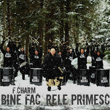 F.charm - Bine Fac, Rele Primesc скачать mp3