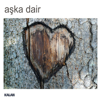 Gülay Sezer - Cesaretin Var Mı Aşka скачать mp3