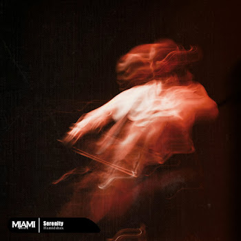 Hamidshax - Serenity скачать mp3