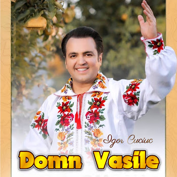 Igor Cuciuc - Domn Vasile скачать mp3