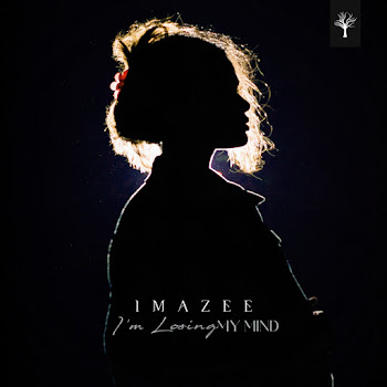 Imazee - I'm Losing My Mind скачать mp3