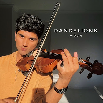 Joel Sunny - Dandelions (Violin) скачать mp3