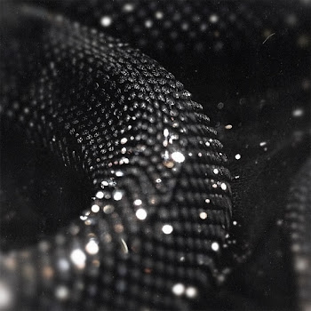 Kaii Raw - Блеск скачать mp3