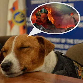 Леся Нікітюк - Цей Сон (Radio Edit) Ft Степан Гіга скачать mp3