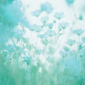 Luke Willies - Solitude Velocity (Slowed + Loop) скачать mp3