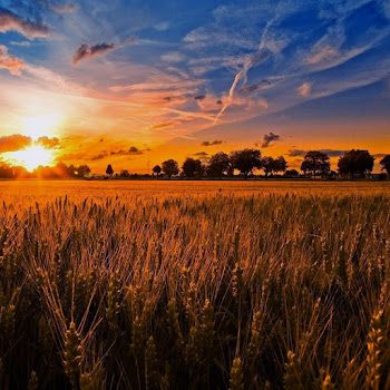 Magdelayna - Now We Are Free скачать mp3