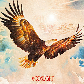 Moonlght - Free Bird скачать mp3