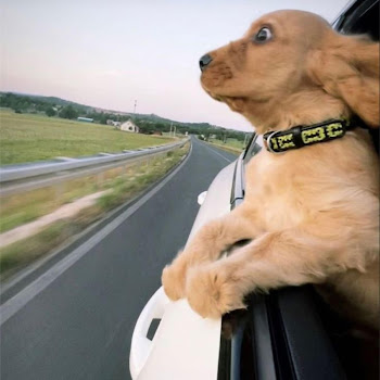 Ny8 - Pre Dance Funk скачать mp3