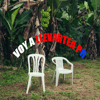 Papi Drumz - Bad Bunny (Voy A Llevarte Pa Pr) скачать mp3