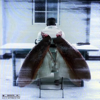 Pause - Mchta W Gdem скачать mp3