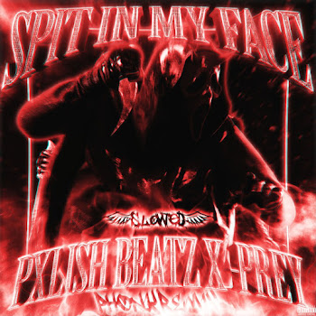 Pxlish Beatz - Spit In My Face! (Slowed Version) ft -Prey скачать mp3