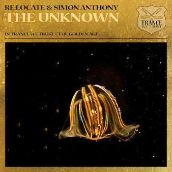 Re:locate - The Unknown ft Simon Anthony скачать mp3