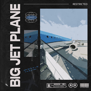 Restricted - Big Jet Plane скачать mp3