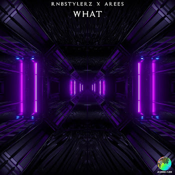 Rnbstylerz - What ft Arees скачать mp3