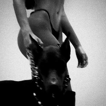 Saga Rxse & Nxdx - Free скачать mp3