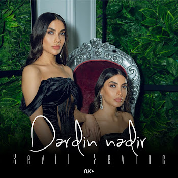Sevil Sevinc - Dərdin Nədi скачать mp3