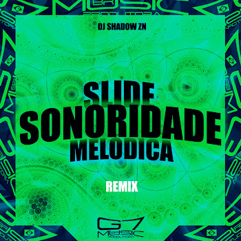 Shadowzn - Slide Sonoridade Melódica ft G7 Music Br & Mc Flavinho скачать mp3