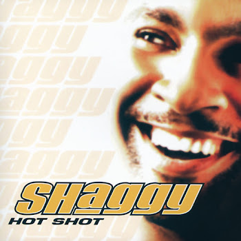 Shaggy - It Wasn't Me (Feat. Ricardo Ducent) скачать mp3