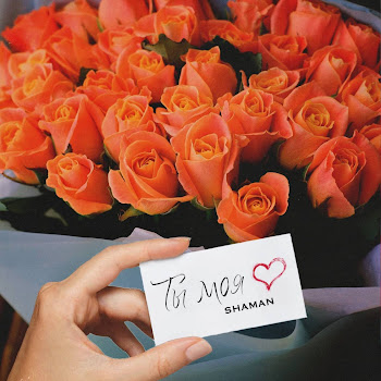 Shaman - Ты Моя скачать mp3