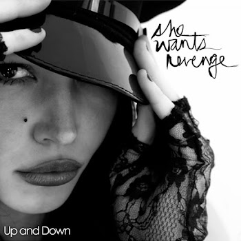 She Wants Revenge - A Little Bit Harder Now скачать mp3