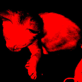 Sho - Noir (Sl0Wed Down) скачать mp3