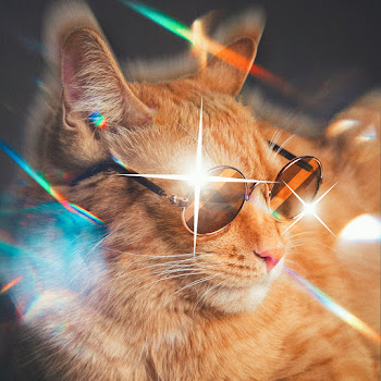 Simbachka - Милый Кудряшка скачать mp3