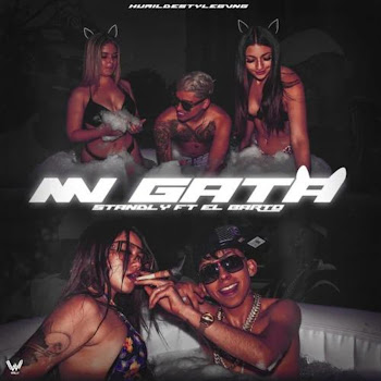 Standly - Mi Gata ft El Barto скачать mp3