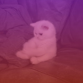 Trxndsetter - Montagem Fim Estrelar (Slowed) скачать mp3