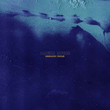 Unhealthy Zoglin - Danika House скачать mp3